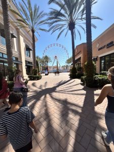 Immersion en Californie