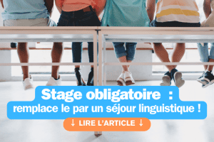 Stage obligatoire seconde au lycée